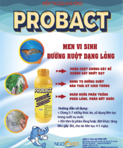 PROBACT
