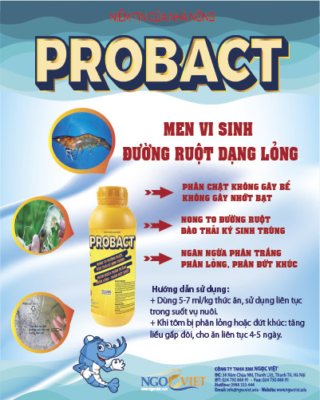 186506440 1420328248366649 8337298170261101151 n