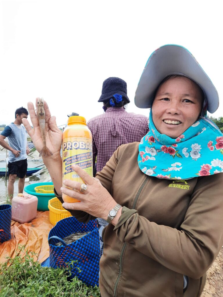 Trang Chủ 20 probbactr