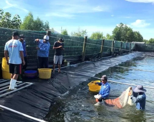 1129922ee7610e3f5770 jpg