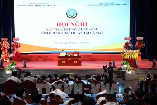 164011 xuc tien ket noi cung cau tom giong ninh thuan tai ca mau