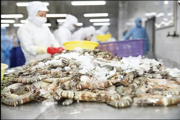 screenshot 2025 04 28 083127