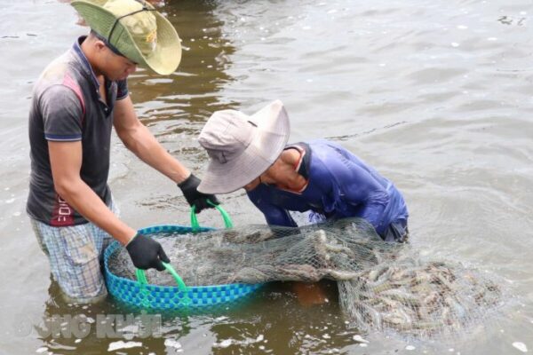 wmnuoitomthe 1736471680464728823688 e1738805901159